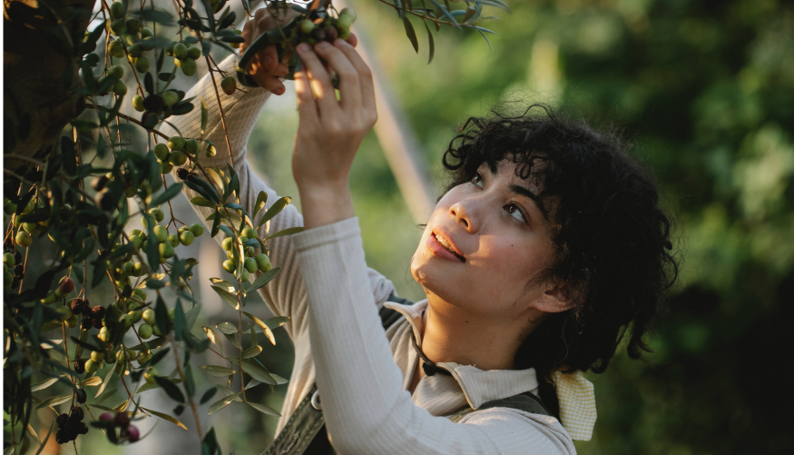 idmea ad tale illud tionesa oil